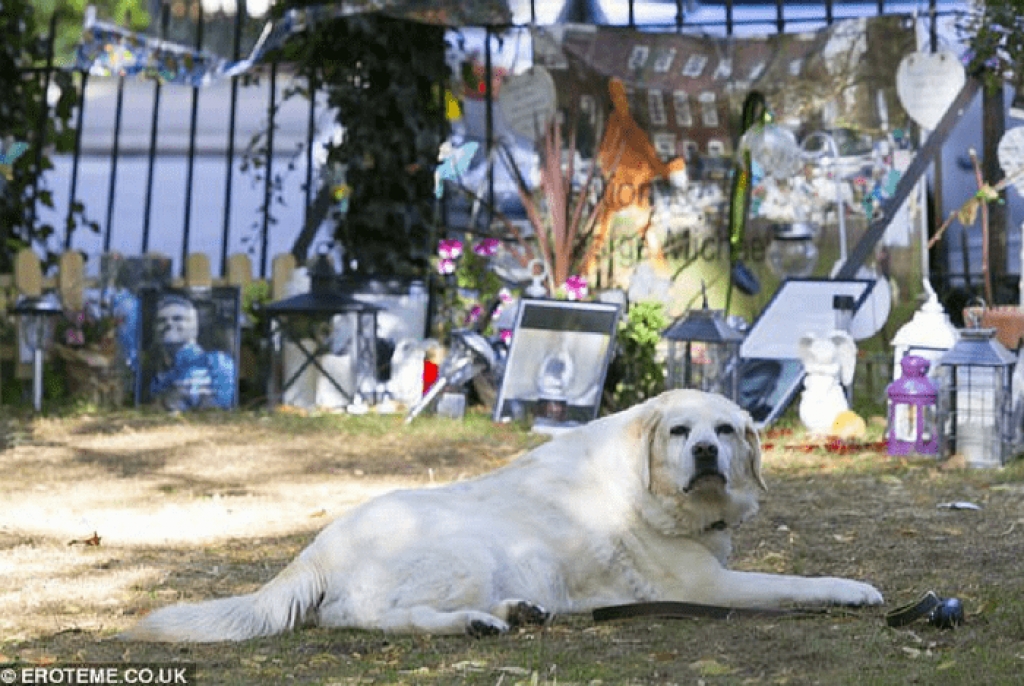 H σκυλίτσα του George Michael ακόμα πενθεί