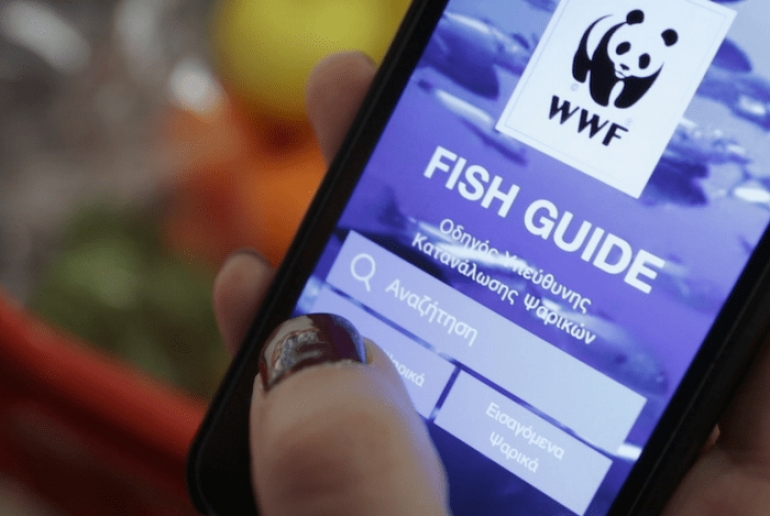Oδηγός του WWF για υπεύθυνη «ψαροφαγία»