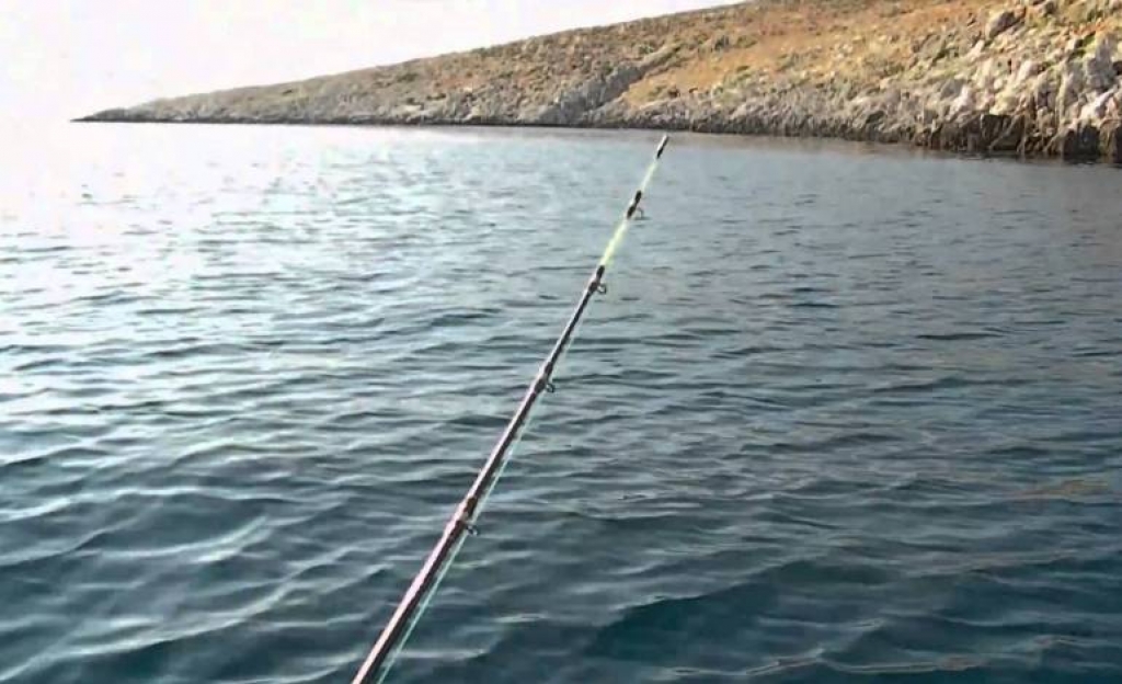 Απαγόρευση ψαρέματος στο Σαρωνικό ως το τέλος του 2017