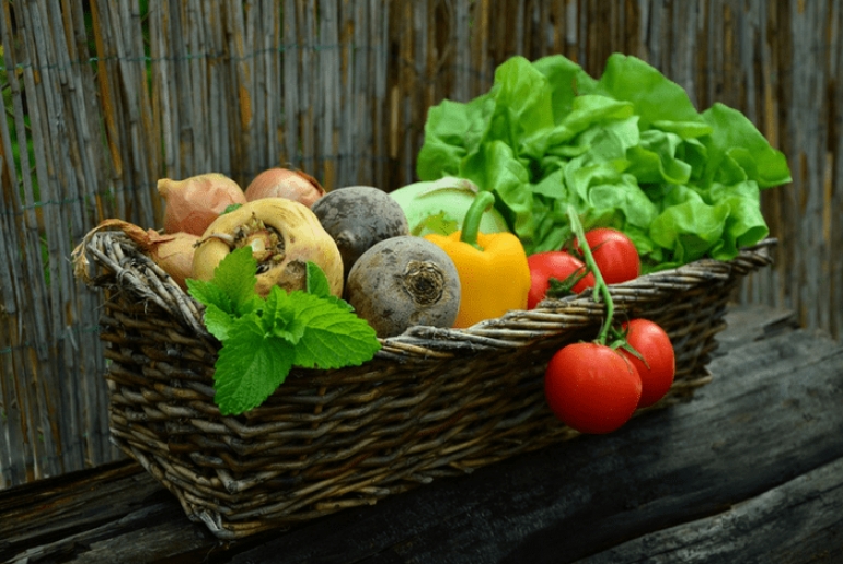 «Φτιάξε τον δικό σου λαχανόκηπο» με τη βοήθεια του ΑΠΘ