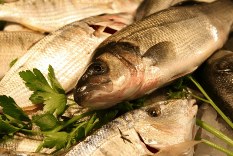 66% των ψαρικών που καταναλώνουν οι Έλληνες είναι εισαγόμενα