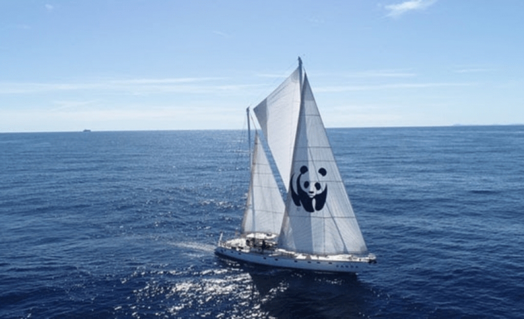 Το σκάφος WWF “Blue Panda” στο Ιόνιο