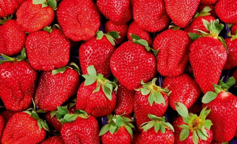 Πιάστηκε ενάμισης τόνος φράουλες «αγνώστου προελεύσεως» στο Πειραιά