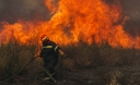 Τρεις φωτιές απο πτώση κεραυνών στην Χαλκιδική