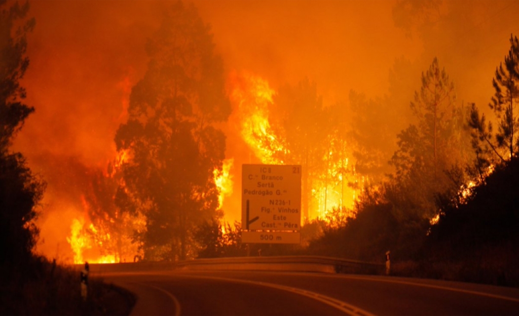 Τραγωδία με 57 νεκρούς στην Πορτογαλία από πυρκαγιά σε δάσος