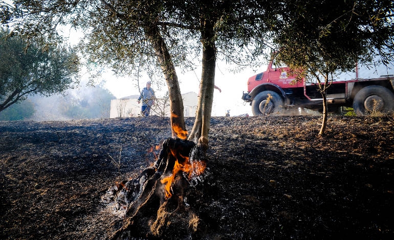 Οι πυρκαγιές μέσα από τα μάτια των στελεχών του ΣΥΡΙΖΑ