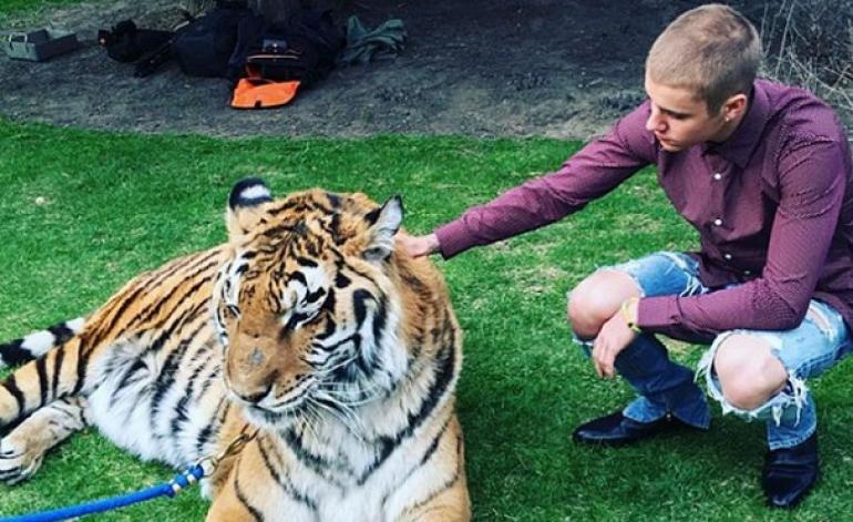 Ο Justin Biber φωτογραφίζεται με αλυσοδεμένη τίγρη