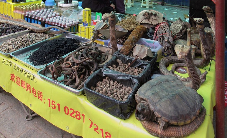 Άγρια ζώα κάθε είδους πωλούνται για το κρέας του ή για προϊόντα «παραδοσιακής ιατρικής». Από αγορά στο Ντάλι της επαρχίας Γιουνάν