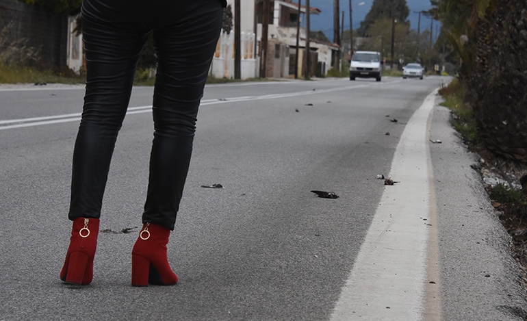Άργος: Κουρασμένα χελιδόνια έπεσαν θύματα των αυτοκινήτων όταν έκατσαν στο δρόμο να ζεσταθούν