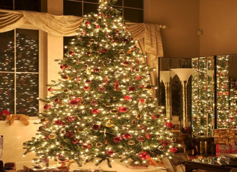 Ανακύκλωση χριστουγεννιάτικων δέντρων 