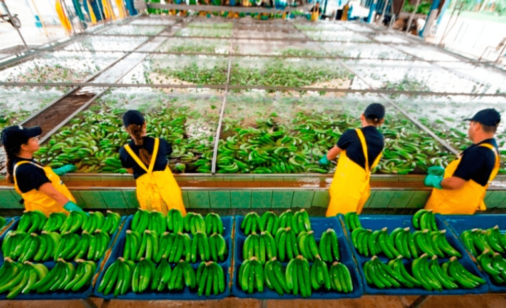 Chiquita: Με αφορμή την Παγκόσμια Ημέρα Νερού ανακοινώνει περιορισμό κατανάλωσης νερού