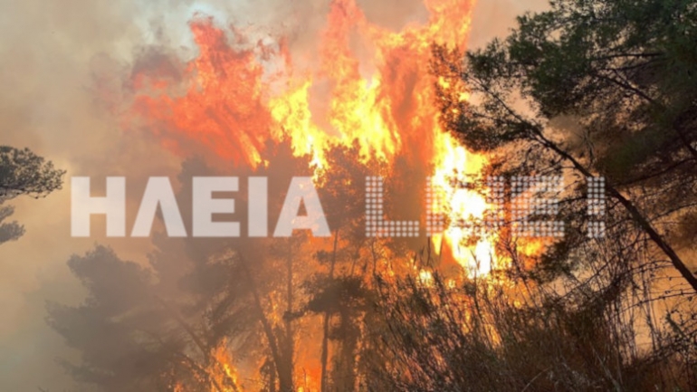 Ηλεία: Σε εξέλιξη πυρκαγιά στο προστατευμένο δάσος της Στροφυλιάς