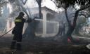Συνεχίζεται η μάχη με τη φωτιά στη Βόρεια Εύβοια - Τεράστια η καταστροφή