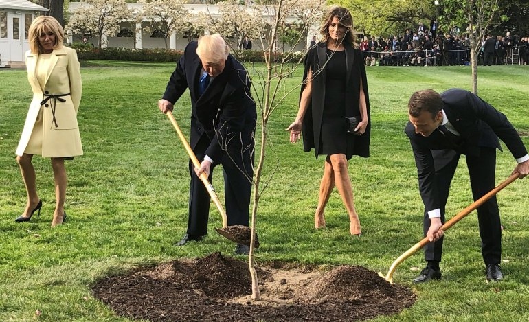 Το δέντρο που φύτεψαν Μακρόν και Τραμπ... έκανε φτερά! (Photo)
