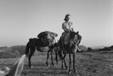 Joan Leigh Fermor: φωτογράφος και αγαπημένη