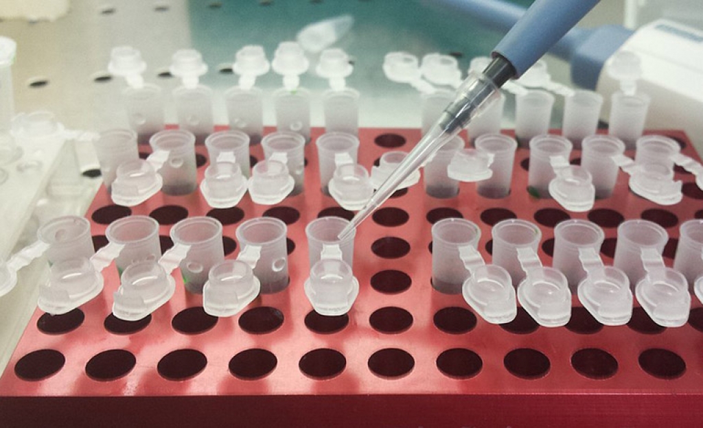 Φορητά τεστ PCR για ταχεία διάγνωση του κορωνοϊού
