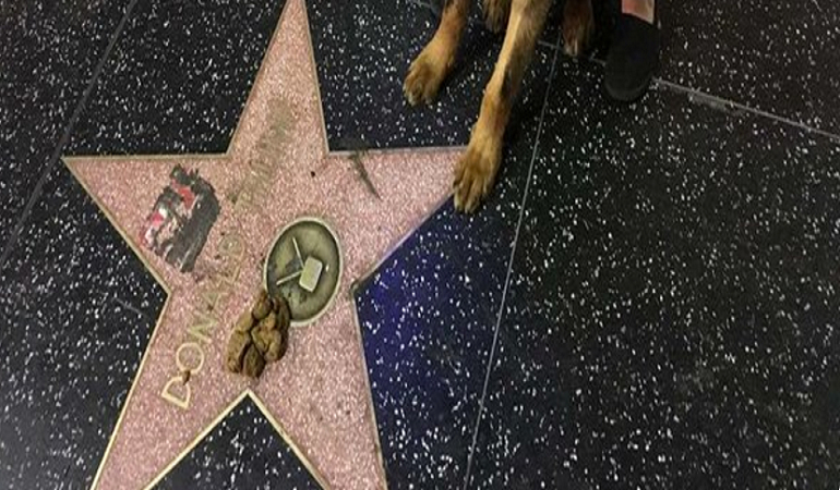 Με σκύλους επιτίθενται στο «αστέρι» του Τραμπ